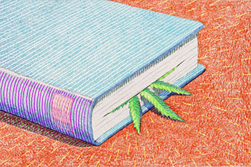 Dichavando a culinária canábica