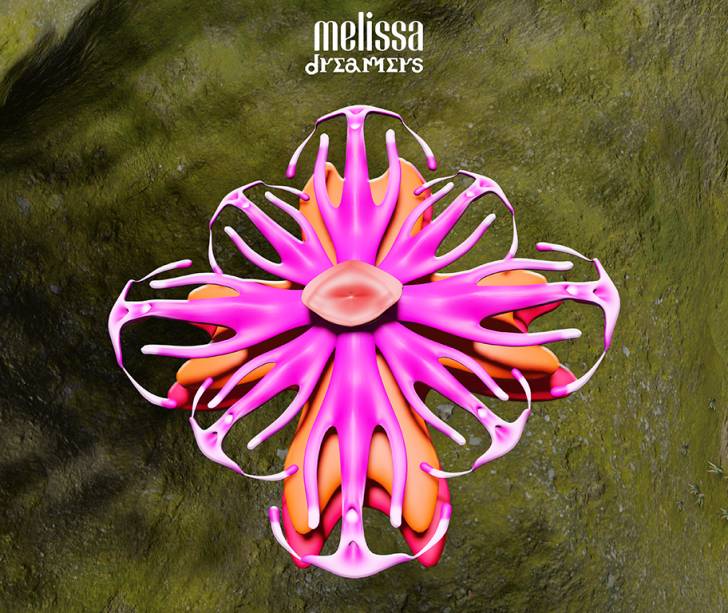 Collab Melissa 2020 Collab Melissa 2020