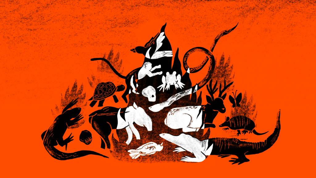 Extinção pelo fogo