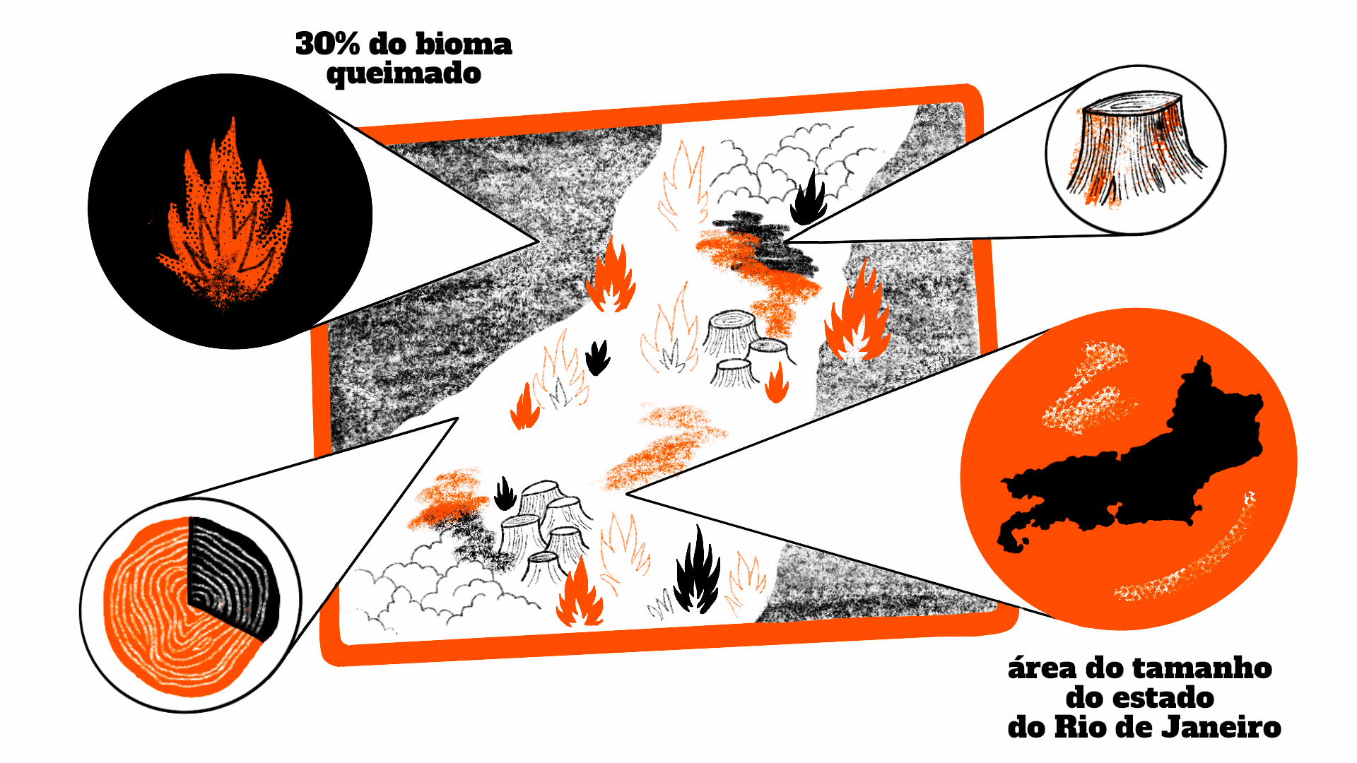 infográfico sobre queimadas no pantanal