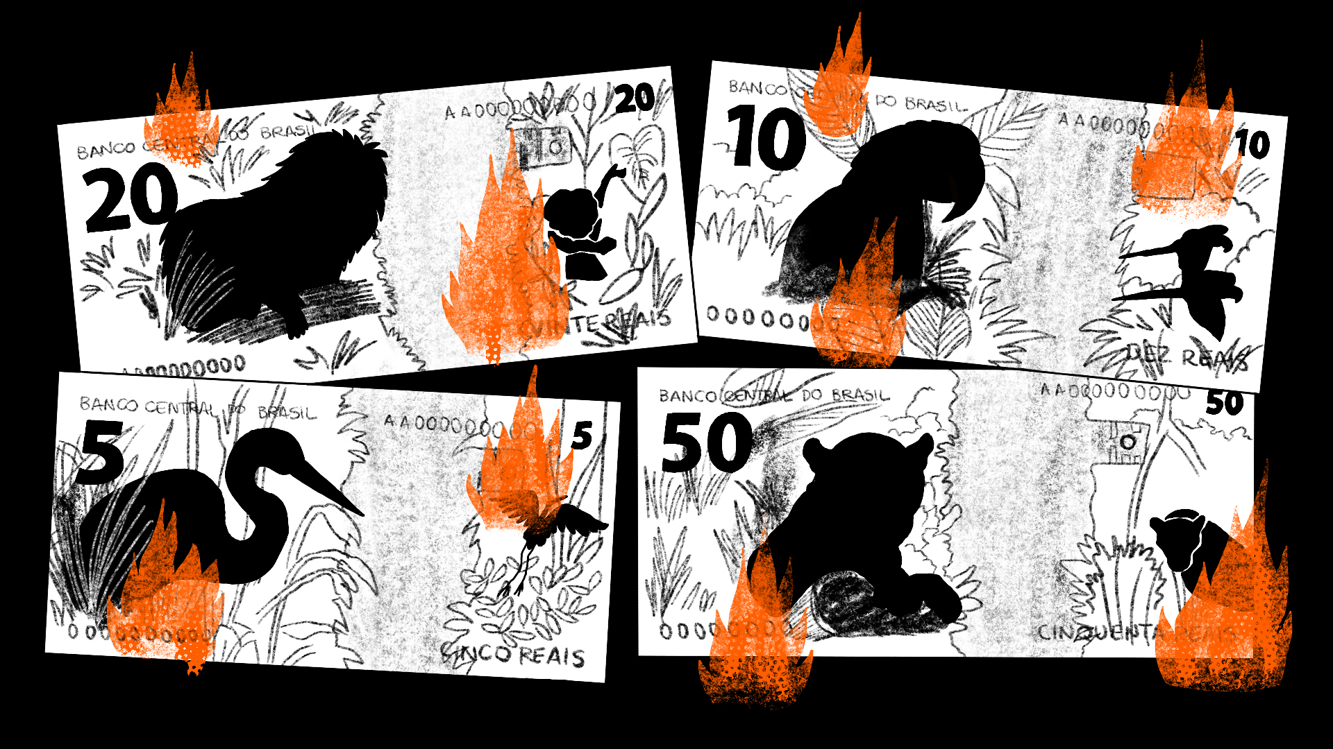 Ilustração em preto e branco das notas de 5, 10, 20 e 50 reais pegando fogo