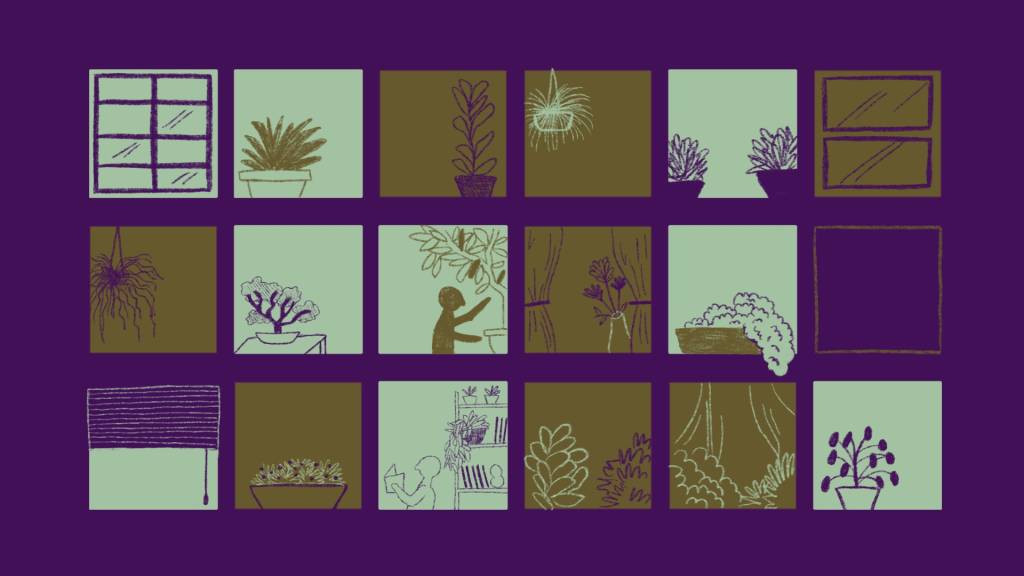 Cinco plantas nativas brasileiras para ter dentro de casa