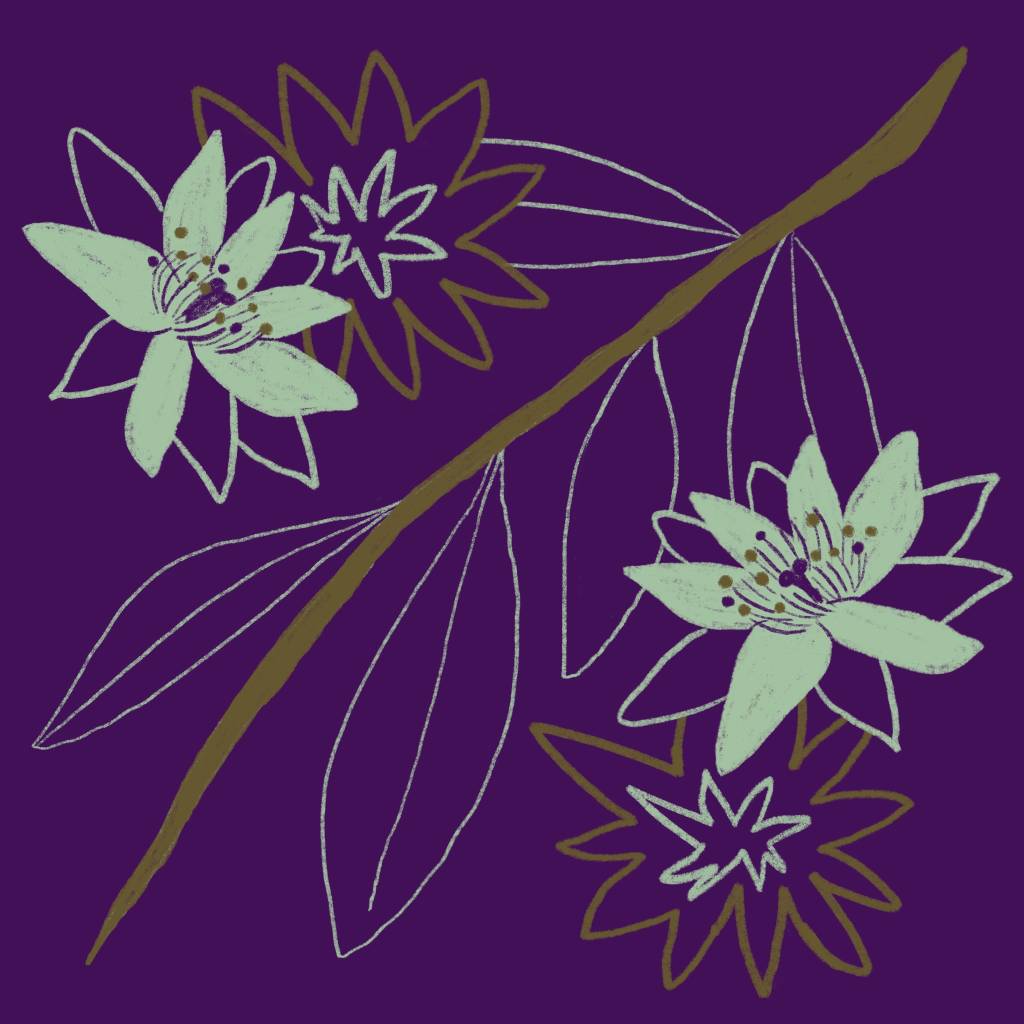 ilustração da ora-pro-nobis e flores no fundo roxo