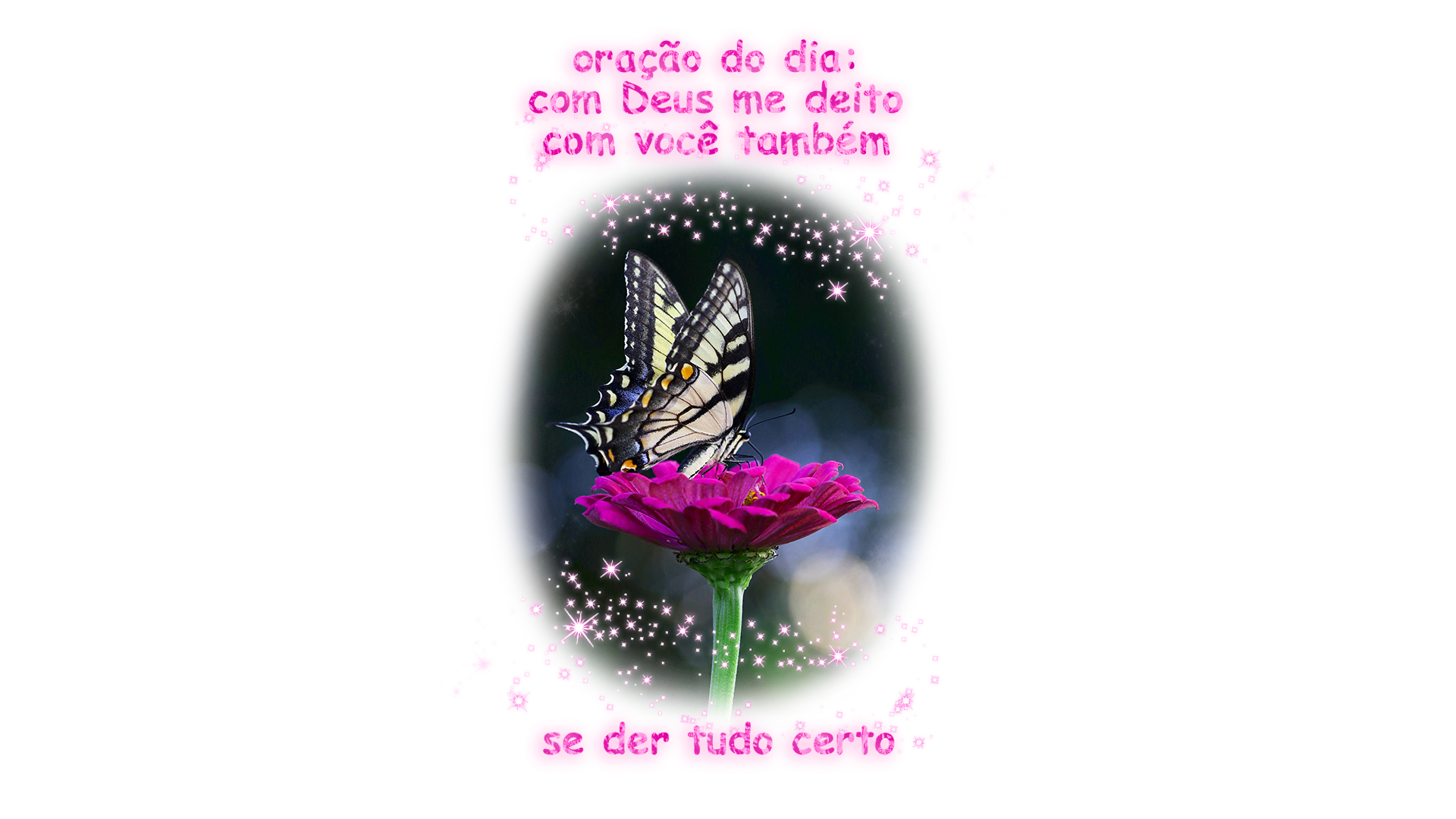 mensagem de bençãos em rosa com o fundo de borboleta